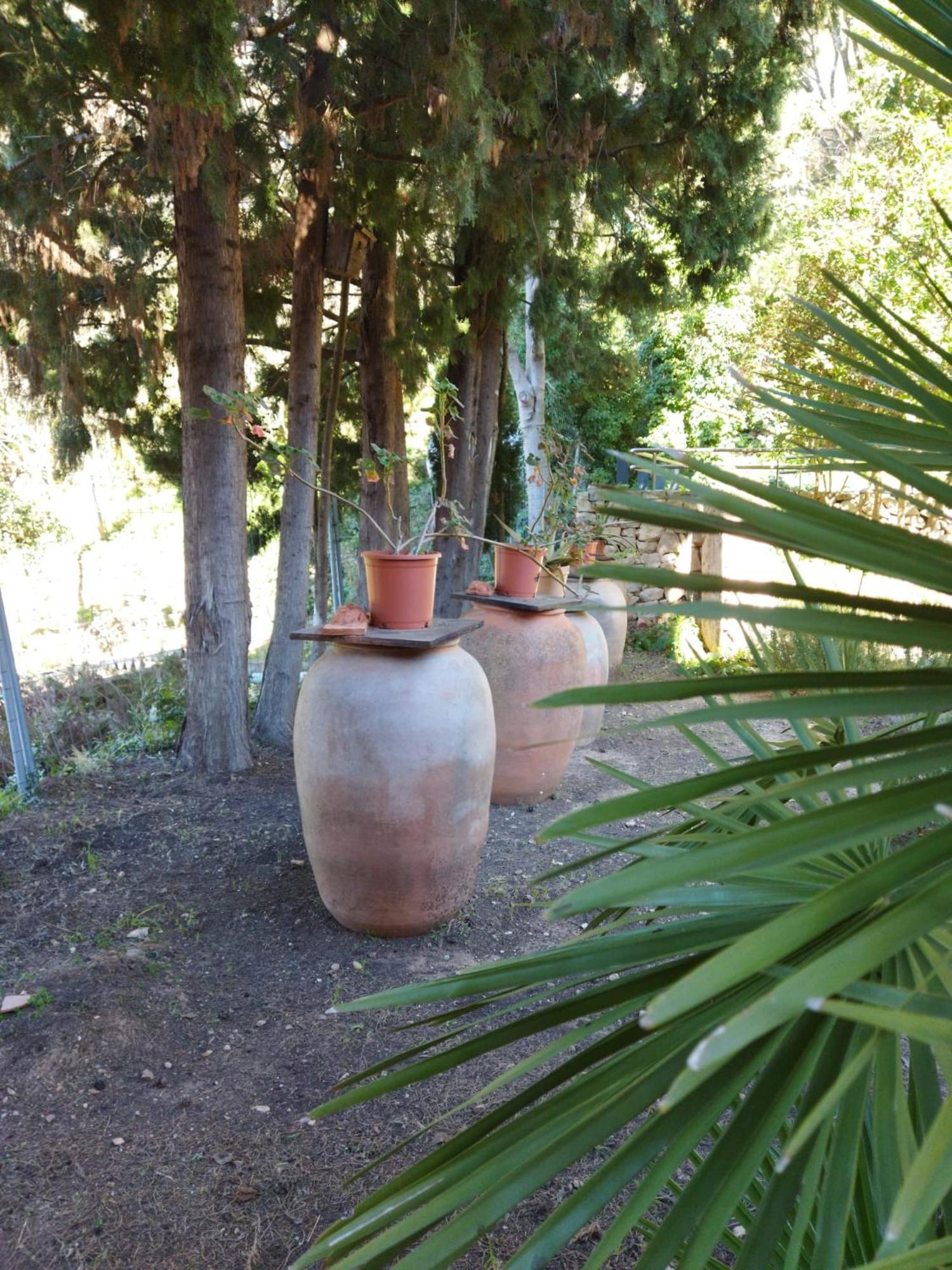 Casa Bienvenida - Carcaixent Bed and Breakfast Buitenkant foto