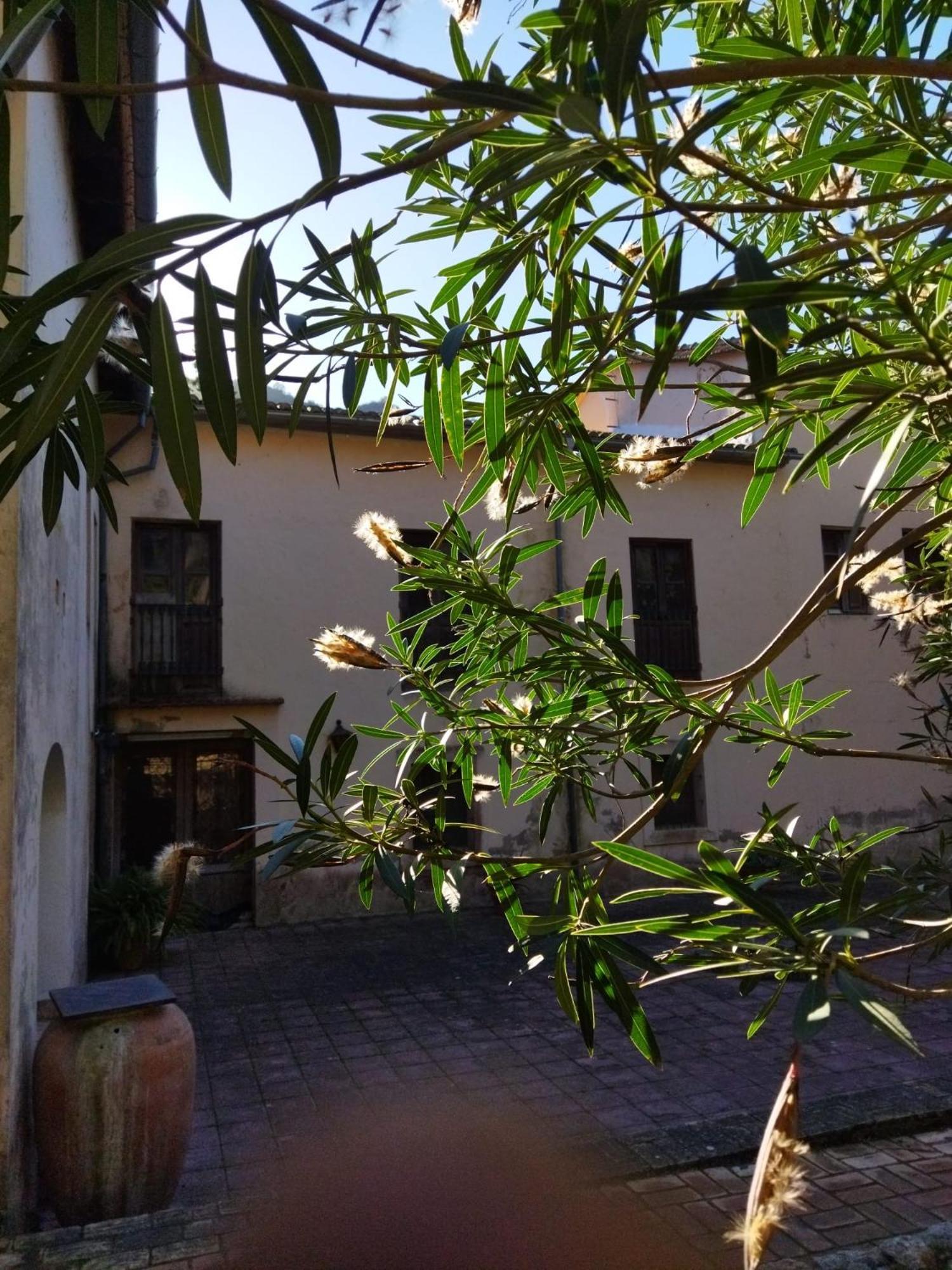 Casa Bienvenida - Carcaixent Bed and Breakfast Buitenkant foto